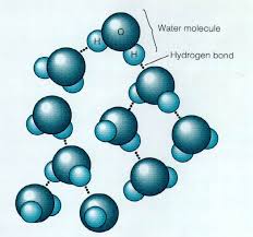 h2o