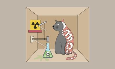 s-cat